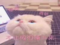 广州慧娴科技有限公司