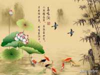 广州慧娴科技有限公司