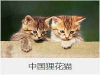 广州慧娴科技有限公司