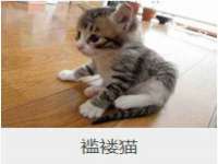 广州慧娴科技有限公司