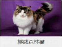 广州慧娴科技有限公司