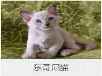 广州慧娴科技有限公司