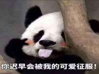 广州慧娴科技有限公司