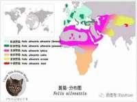 广州慧娴科技有限公司