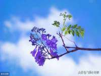 广州慧娴科技有限公司