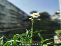 广州慧娴科技有限公司