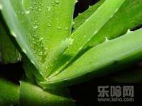 广州慧娴科技有限公司