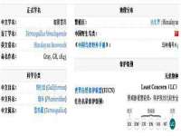 广州慧娴科技有限公司
