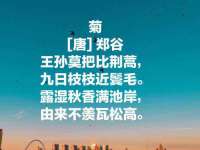 广州慧娴科技有限公司