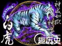 广州慧娴科技有限公司