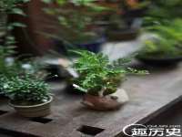 广州慧娴科技有限公司