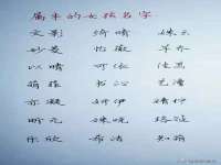 广州慧娴科技有限公司
